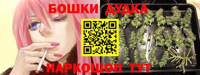 герыч Бийск