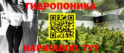 герыч Бийск